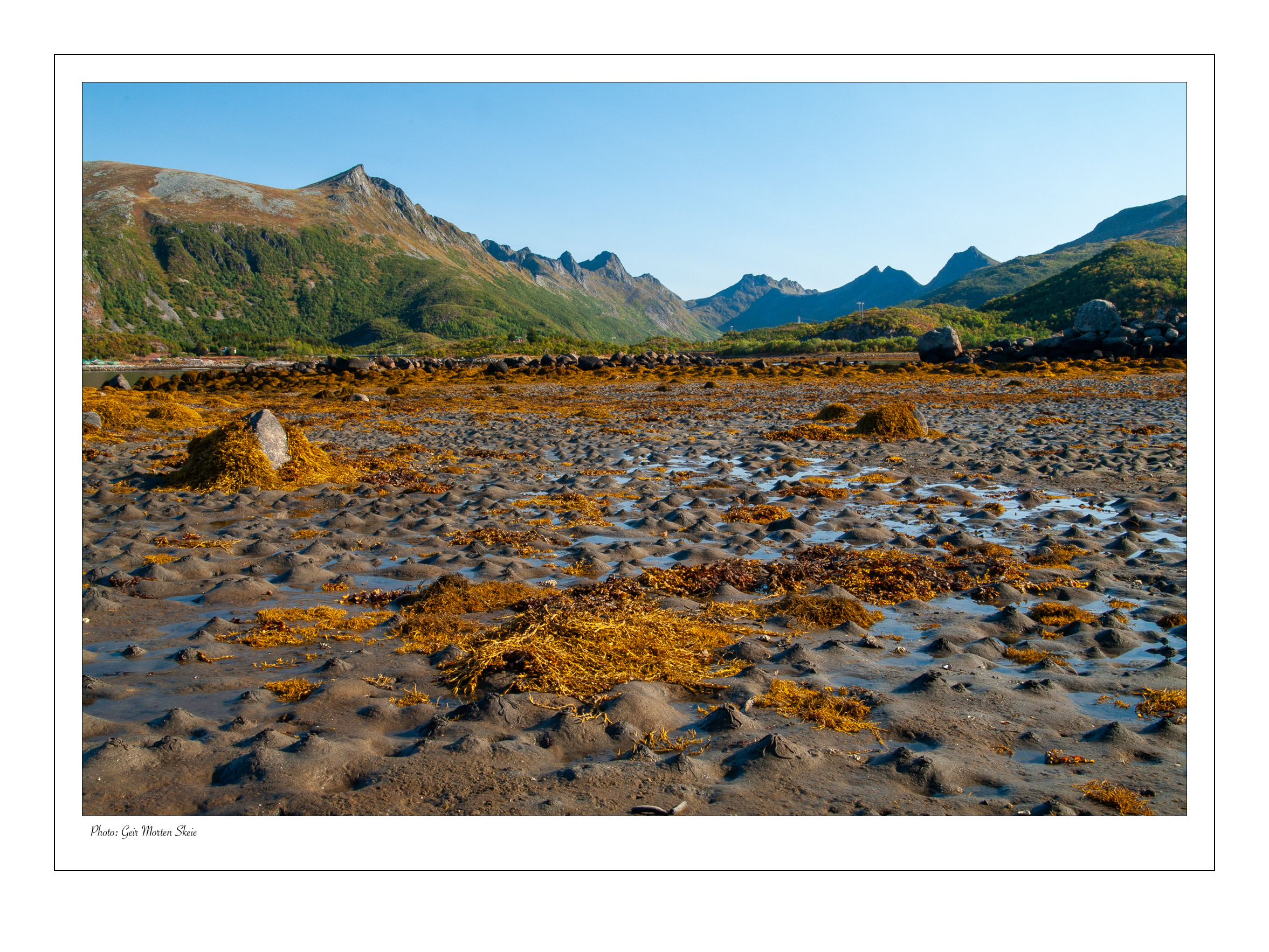 SIlt_leire_Lofoten.jpg